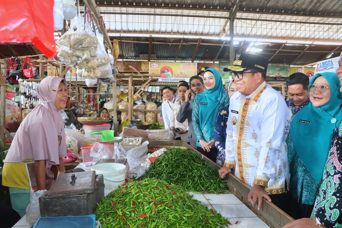 Penjabat Gubernur Lampung Samsudin