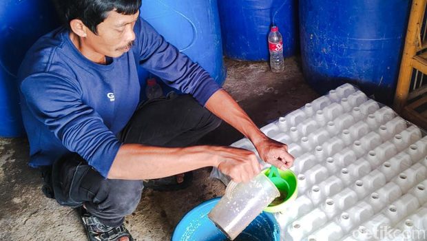 Petani tunjukkan pupuk cair organik untuk tanaman