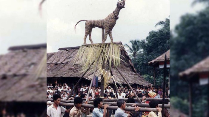 Ritual Famato Harimao di Nias (Dok Museum Nias)