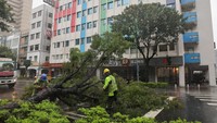 Pemerintah Kota Kaohsiung telah meminta warganya untuk berlindung di rumah agar terhindar dari ancaman Topan Krathon. Selain itu, mereka juga telah meminta warganya untuk menjauh dari laut, sungai, dan gunung.  
