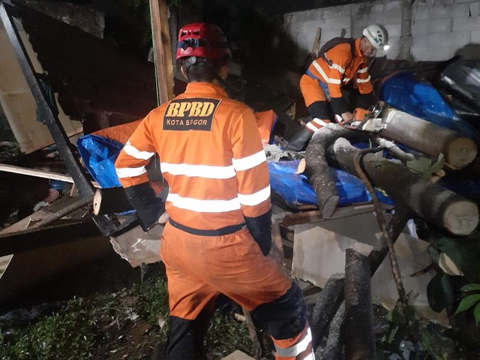 Tim gabungan evakuasi pohon tumbang timpa gubuk dan lukai tiga pekerja bangunan di Bogor (dok. istimewa)