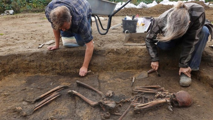 Arkeolog Denmark Temukan 50 Kerangka dari Zaman Viking, Ini Penampakannya Archaeologists excavate skeletons in a pit at the Viking-age burial site in the village of Aasum, Denmark, September 25, 2024. REUTERS/Tom Little
