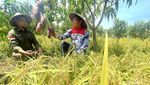 Asa dan Ikhtiar Purna Pekerja Migran melalui Purnama Subang