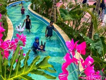 Serunya Ajak Keluarga Berlibur di Waterpark Estetik Cibitung
