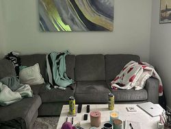 Coba Cari Kucing yang Sembunyi di Deretan Foto Ini, Matanya Harus Jeli