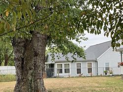 Coba Cari Kucing yang Sembunyi di Deretan Foto Ini, Matanya Harus Jeli