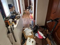 Coba Cari Kucing yang Sembunyi di Deretan Foto Ini, Matanya Harus Jeli