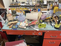 Coba Cari Kucing yang Sembunyi di Deretan Foto Ini, Matanya Harus Jeli