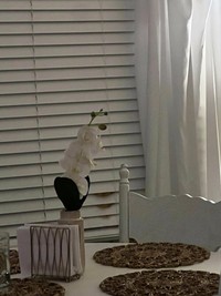 Kamu suka banget sama kucing? Kalau gitu, gampang dong, buat cari kucing-kucing yang tersembunyi di deretan foto berikut. Yuk, coba!