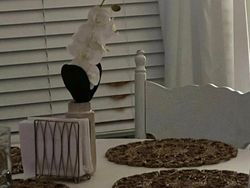 Coba Cari Kucing yang Sembunyi di Deretan Foto Ini, Matanya Harus Jeli