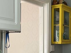 Coba Cari Kucing yang Sembunyi di Deretan Foto Ini, Matanya Harus Jeli