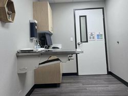 Coba Cari Kucing yang Sembunyi di Deretan Foto Ini, Matanya Harus Jeli