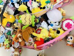 Coba Cari Kucing yang Sembunyi di Deretan Foto Ini, Matanya Harus Jeli