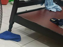 Coba Cari Kucing yang Sembunyi di Deretan Foto Ini, Matanya Harus Jeli