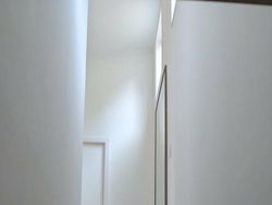 Coba Cari Kucing yang Sembunyi di Deretan Foto Ini, Matanya Harus Jeli