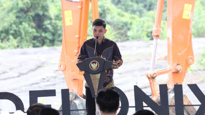 Delonix Group