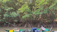 Aktivitas para nelayan ini dapat disaksikan mulai pukul 15.00 Wita. Kegiatan ini dapat memberikan kesempatan bagi pengunjung untuk menyaksikan lebih dekat kehidupan sehari-hari para nelayan lokal. Momen-momen ini menawarkan pengalaman wisata yang unik, memperlihatkan harmoni antara manusia dan alam di tengah keindahan ekosistem mangrove. (Foto: Rada Dhe Anggel/detikSulsel)