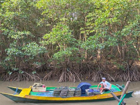 Ekowisata Mangrove Lantebung Makassar