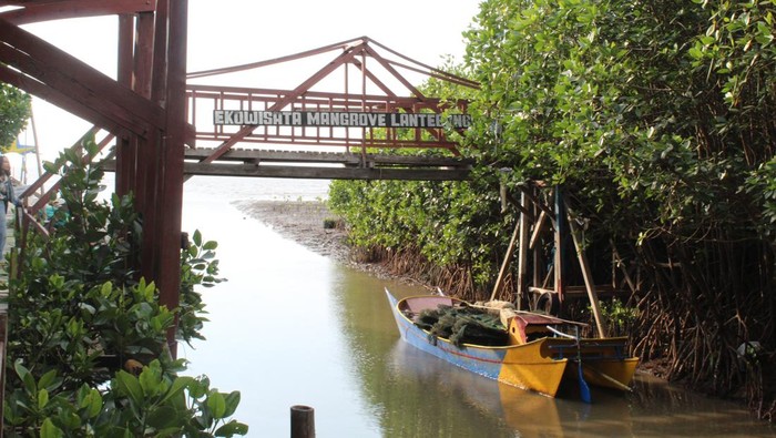 Ekowisata Mangrove Lantebung Makassar
