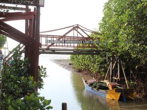 Ekowisata Mangrove Lantebung Makassar, Pesona Sunset di Tengah Hutan Bakau