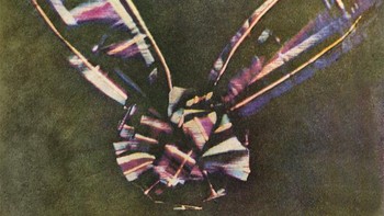 Fisikawan James Clerk Maxwell bertanggung jawab untuk mengambil foto berwarna pertama di dunia. Pada tahun 1855, Maxwell mengembangkan metode tiga warna, dengan rana yang sebenarnya ditekan oleh Thomas Sutton pada tahun 1861. Subjek dari gambar? Pita berwarna, juga dikenal sebagai pita tartan. Foto: MyModernmet