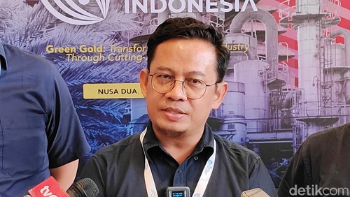 Kepala Divisi Program Pelayanan BPDPKS, Arfie Thahar, saat ditemui di Nusa Dua, Badung, Bali, Jumat (4/10/2024). (Agus Eka/detikBali)