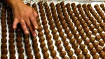 10 Makanan Paling Langka di Dunia yang Nyaris Sulit Ditemui