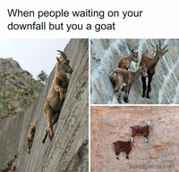 Buat kamu yang sedang mengalami hari yang kurang oke, coba lihat deh meme kocak berikut ini. Semoga bisa membantu kamu tersenyum lagi, ya.