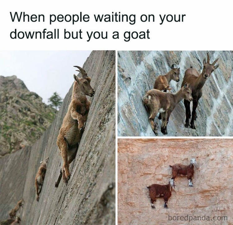 Buat kamu yang sedang mengalami hari yang kurang oke, coba lihat deh meme kocak berikut ini. Semoga bisa membantu kamu tersenyum lagi, ya.