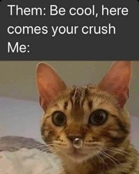 Buat kamu yang sedang mengalami hari yang kurang oke, coba lihat deh meme kocak berikut ini. Semoga bisa membantu kamu tersenyum lagi, ya.