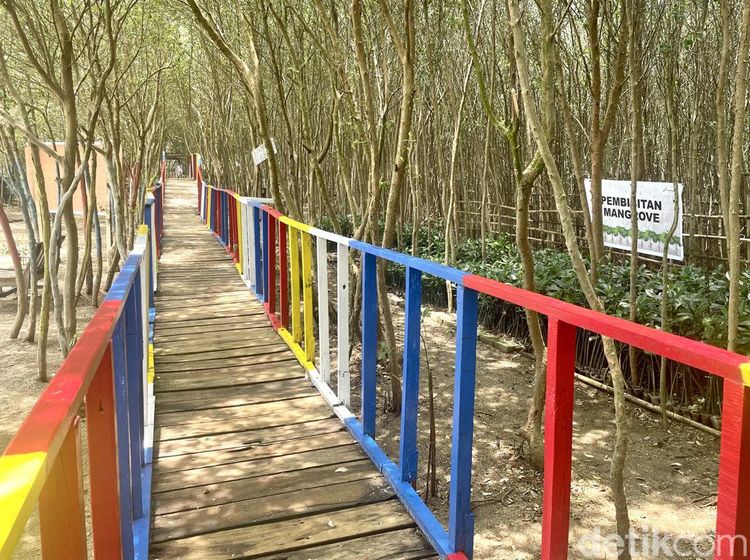 Menyusuri Keindahan Ekowisata Pasir Putih di Karawang