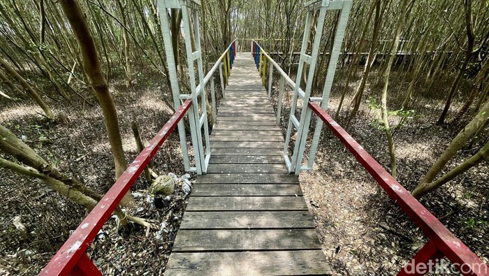 Ekowisata Pasir Putih yang berada di Desa Sukajaya, Karawang, Jawa Barat, terkenal dengan hutan mangrove yang cantik.