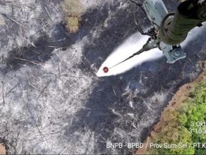 Karhutla Kembali Terjadi di Sumsel, 5 Helikopter Lakukan 271 Kali Water Bombing