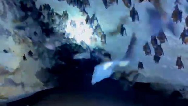 Penggali Sumur di Lamongan Temukan Goa di Dusun Sidowayah, Desa Lawangan Agung, Kecamatan Sugio