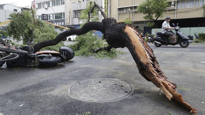 Pohon-pohon Tumbang Diterjang Topan Krathon di Taiwan Topan Krathon yang membawa angin kencang dan hujan deras melanda Taiwan. Pepohonan pun tumbang akibat angin topan tersebut.