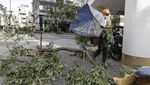 Pohon-pohon Tumbang Diterjang Topan Krathon di Taiwan