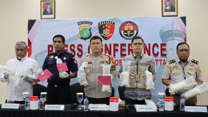 Polresta Bandara Soekarno-Hatta menggagalkan penyelundupan benih lobster Rp 3,4 miliar ke luar negeri.