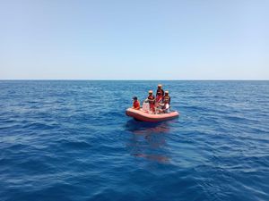 Hilang Saat Diving, Potongan Tubuh Turis Amerika Ditemukan di Perut Hiu