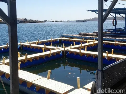 Resto Apung Pulau Bungin (Dok. Firga Raditya Pamungkas)