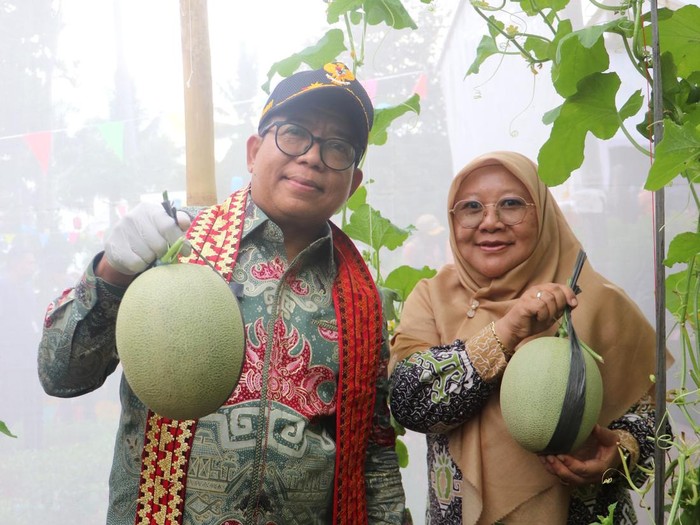 Samsudin Panen Melon
