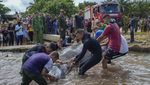 Seekor Paus Mati Terdampar di Kuba