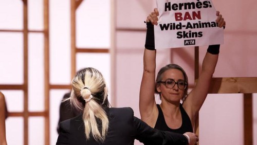 Seorang aktivis PETA di runway memprotes penggunaan kulit dalam peragaan busana Hermès Paris Womenswear Spring-Summer 2025 sebagai bagian dari Paris Fashion Week pada 28 September 2024 di Paris, Prancis.