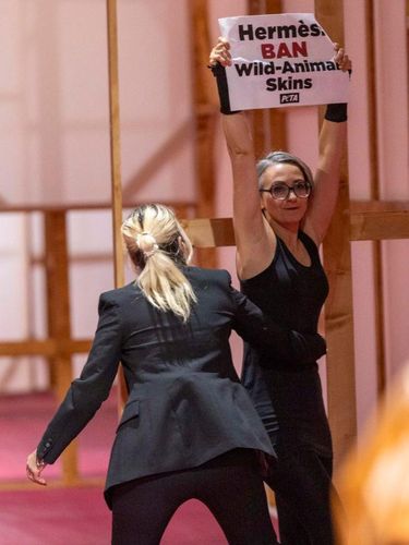 Seorang aktivis PETA di runway memprotes penggunaan kulit dalam peragaan busana Hermès Paris Womenswear Spring-Summer 2025 sebagai bagian dari Paris Fashion Week pada 28 September 2024 di Paris, Prancis.