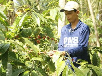 Potret Ekoturisme Keren di Blitar, Bisa Mengenal Rempah-rempah