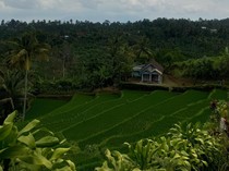 Jelajah Rempah, Ekoturisme Keren dari Desa Sumberurip di Blitar