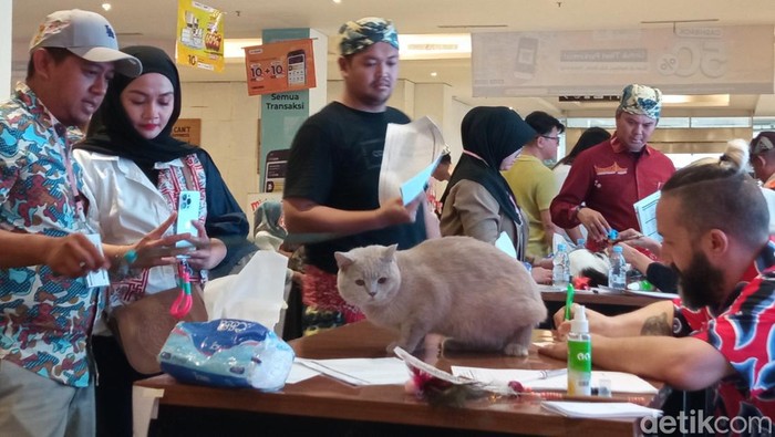 International Cat Show di Kota Cirebon