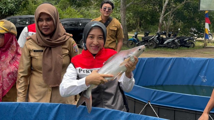 Kawasan perikanan yang terintegrasi di Sungai Gerong Sumsel