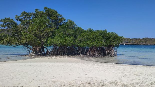 Pantai Oeseli