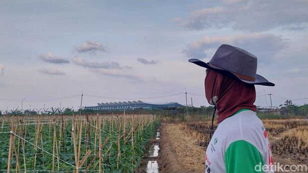 Petani menatap bandara yang tak jauh dari sawahnya.