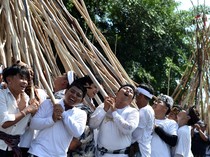 Melihat Kemeriahan Tradisi Mekotek di Bali